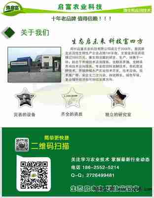 豆腐渣 理想的家禽家畜及鱼类饲料原料