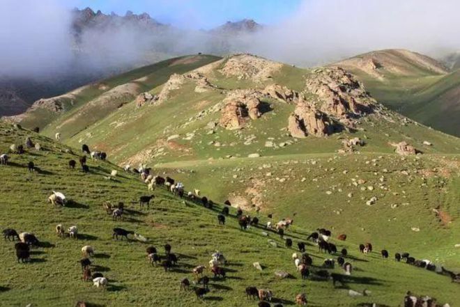 山地之国——吉尔吉斯斯坦 畜牧业与家禽家畜文化