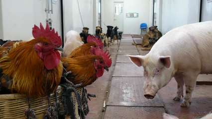 车满心满腰包满 “慢火车”带来“慢幸福”